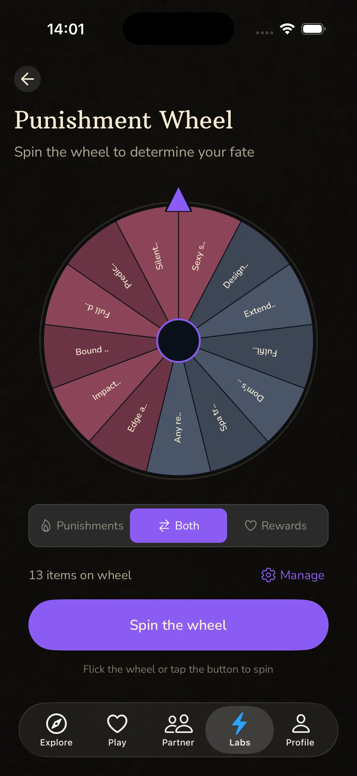 BeMoreKinky Punishment and Rewards Wheel