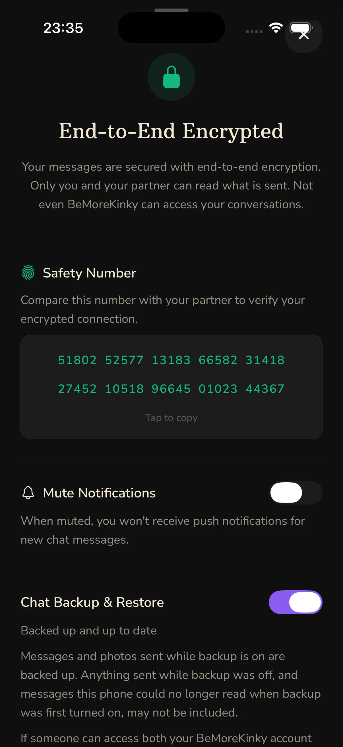 BeMoreKinky chat backup and restore settings with end-to-end encryption