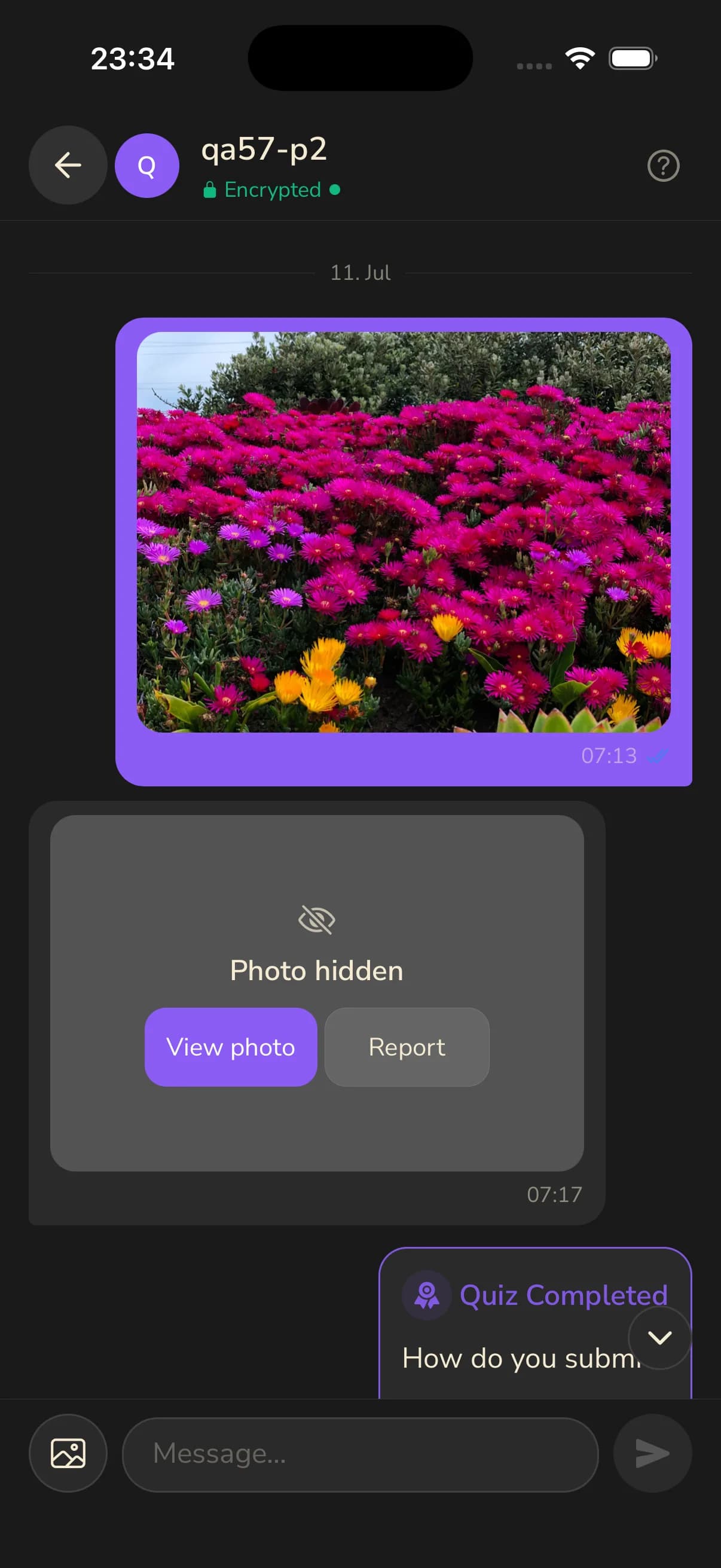 BeMoreKinky private chat showing a tap-to-reveal photo with caption