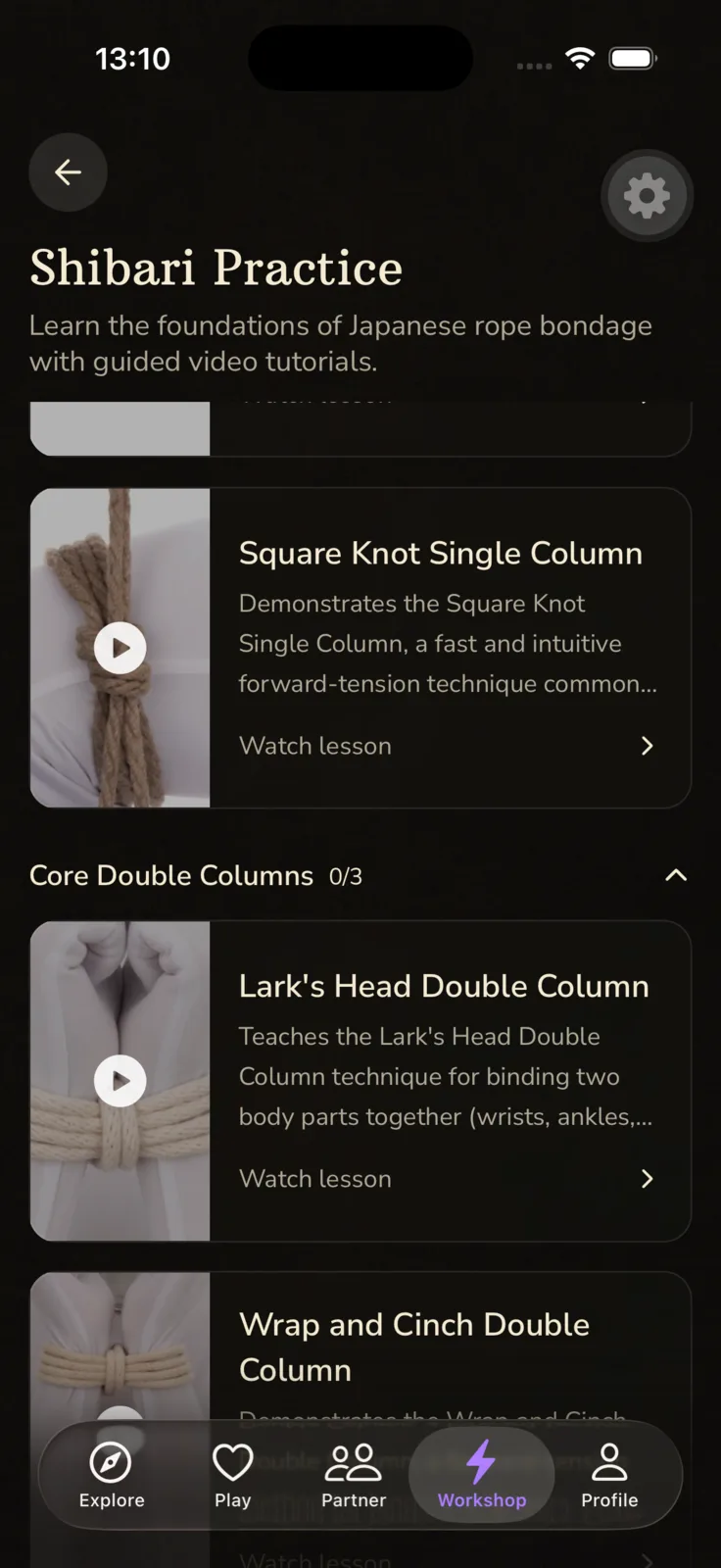 BeMoreKinky app - Shibari training lesson library with 26 video lessons across 7 categories