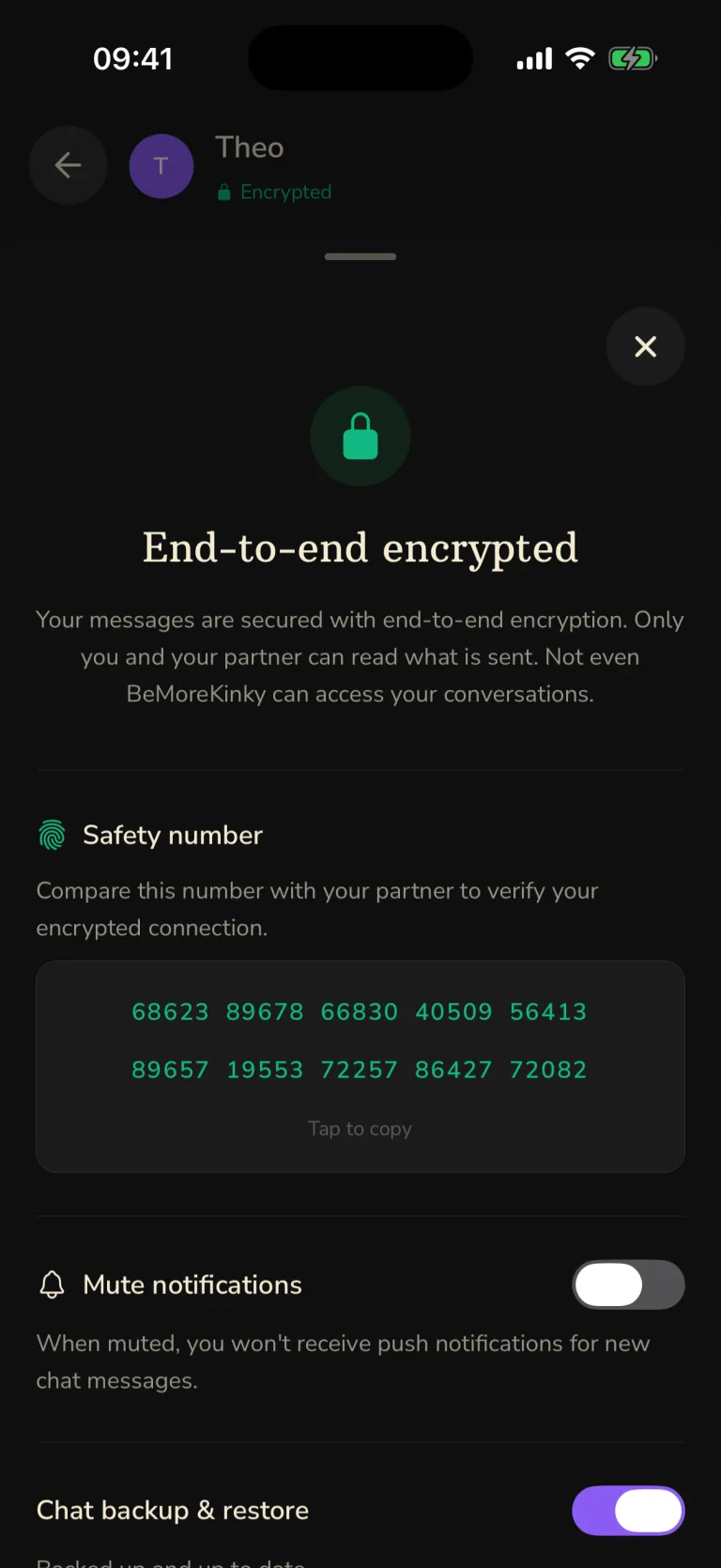 BeMoreKinky App - End-to-End Encryption Safety Number Verification